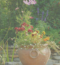 短信免费轰炸网页入口